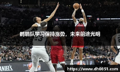 鹈鹕队学习保持涨势，未来前途光明