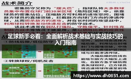 足球新手必看：全面解析战术基础与实战技巧的入门指南