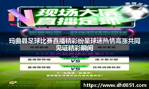 玛曲县足球比赛直播精彩纷呈球迷热情高涨共同见证精彩瞬间