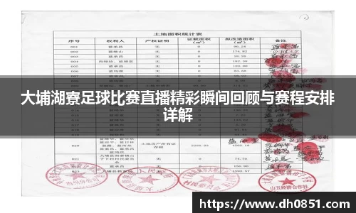 大埔湖寮足球比赛直播精彩瞬间回顾与赛程安排详解